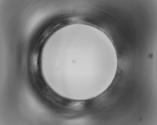 X0000114611150200911171029