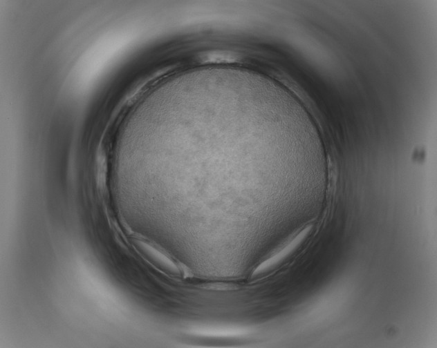 X0000114611151200911171029