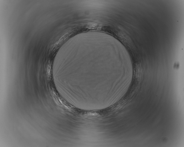 X0000114611154200911171028