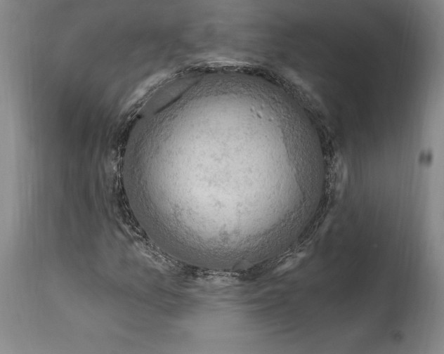 X0000114611157200911171028