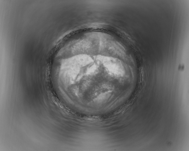 X0000114611158200911171028