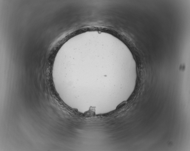 X0000114611159200911171028