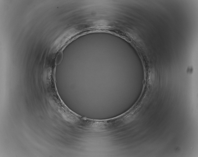 X0000114611161200911171028