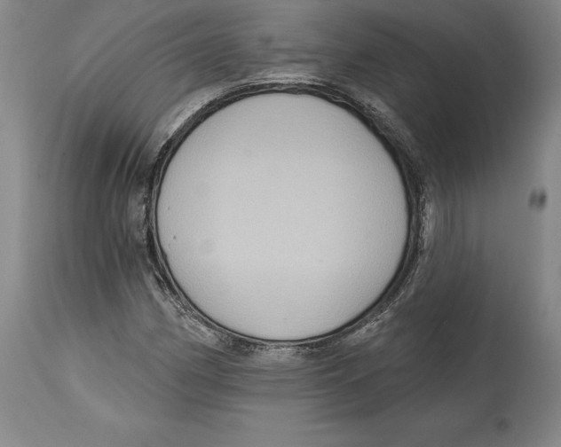 X0000114611162200911171028