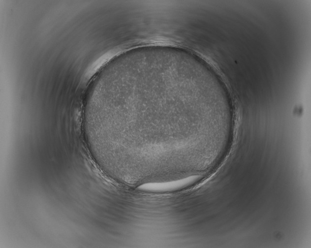 X0000114611163200911171028