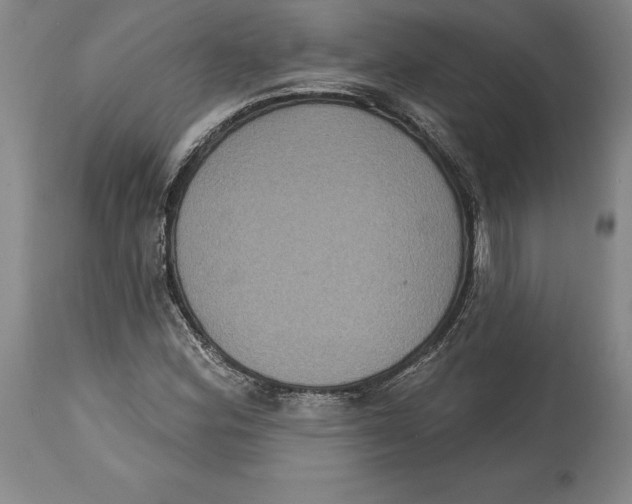 X0000114611164200911171028