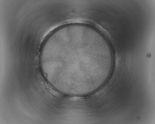 X0000114611166200911171028