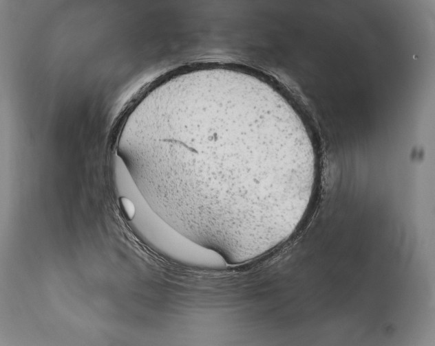 X0000114611167200911171028