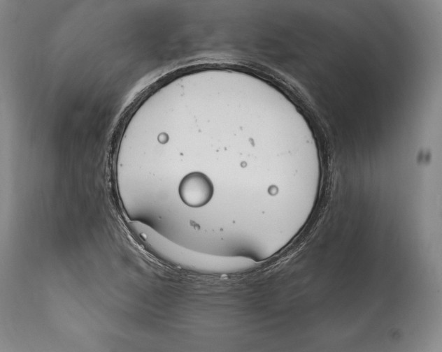 X0000114611168200911171028