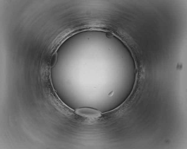 X0000114611169200911171028