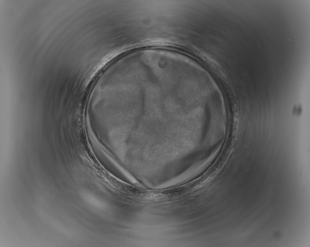 X0000114611170200911171028