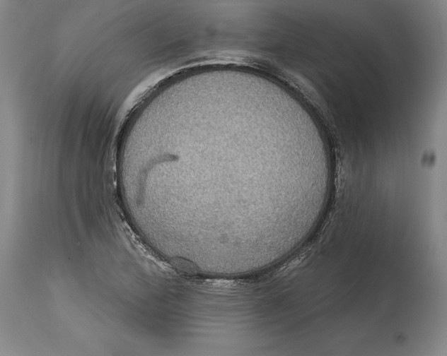 X0000114611172200911171028