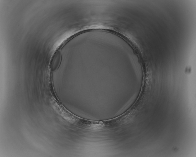 X0000114611173200911171028