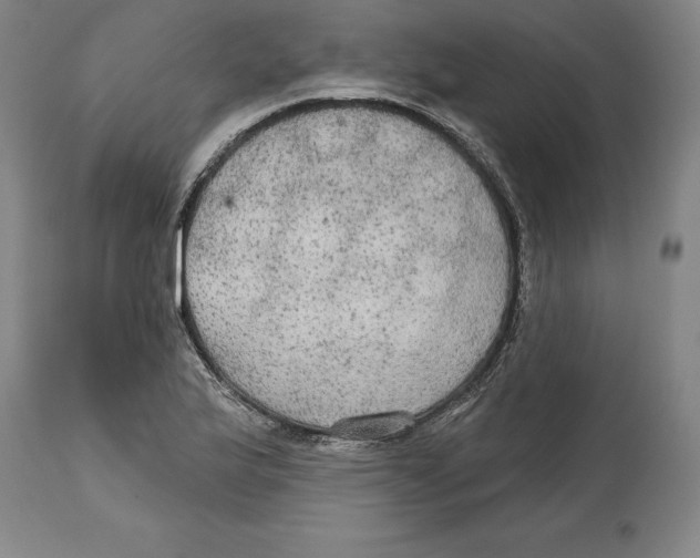 X0000114611175200911171028