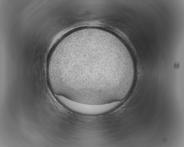 X0000114611176200911171028