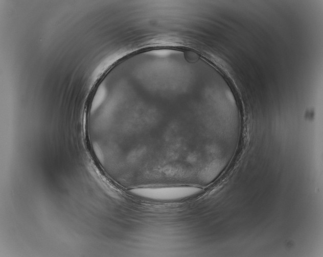 X0000114611179200911171028