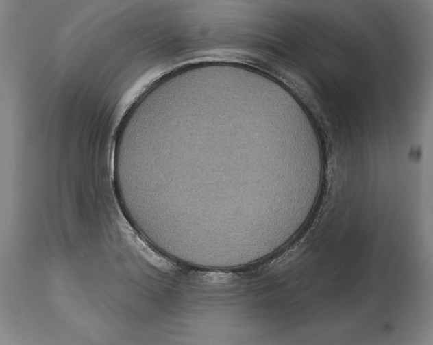 X0000114611180200911171028