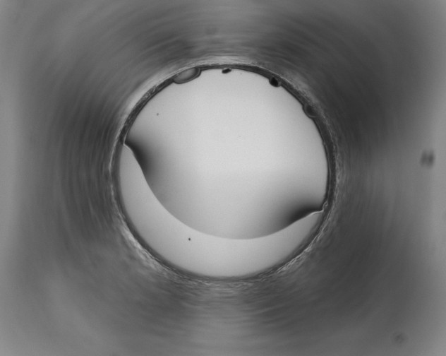 X0000114611181200911171028