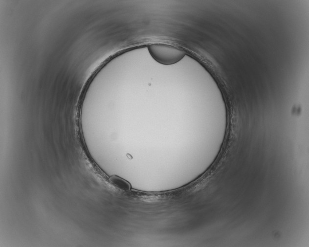 X0000114611182200911171028