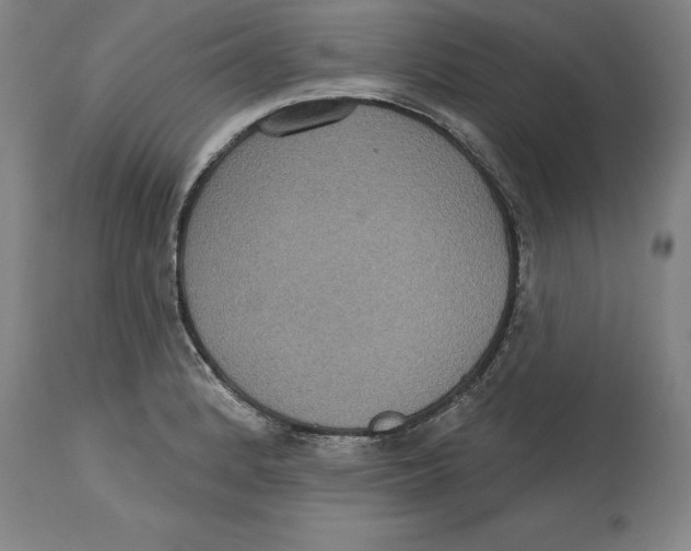 X0000114611184200911171028