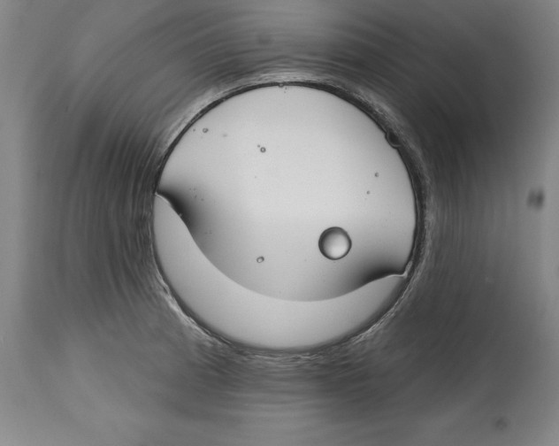 X0000114611185200911171028