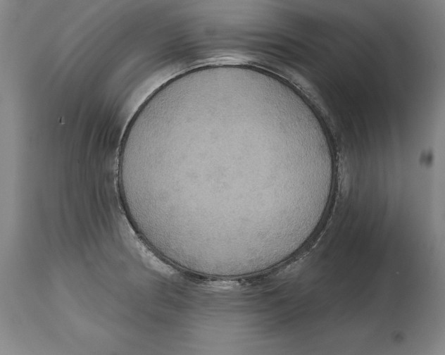 X0000114611186200911171028