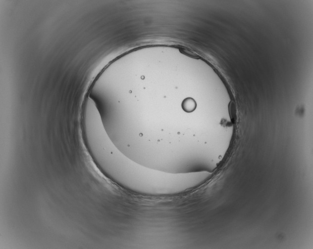 X0000114611187200911171028