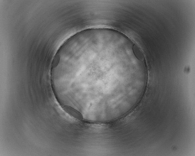 X0000114611189200911171028