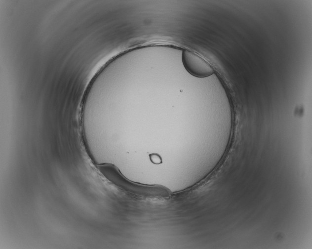 X0000114611190200911171028