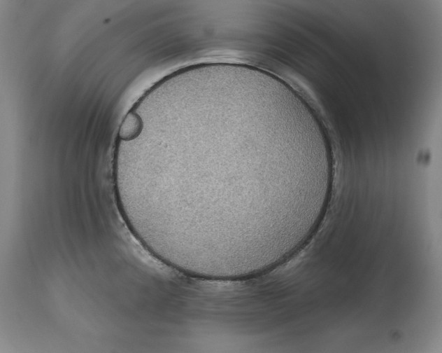 X0000114611192200911171028