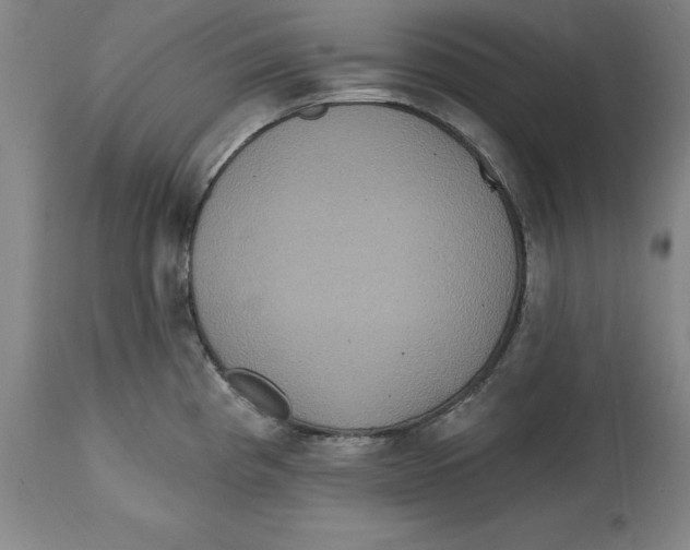 X0000114611193200911171028