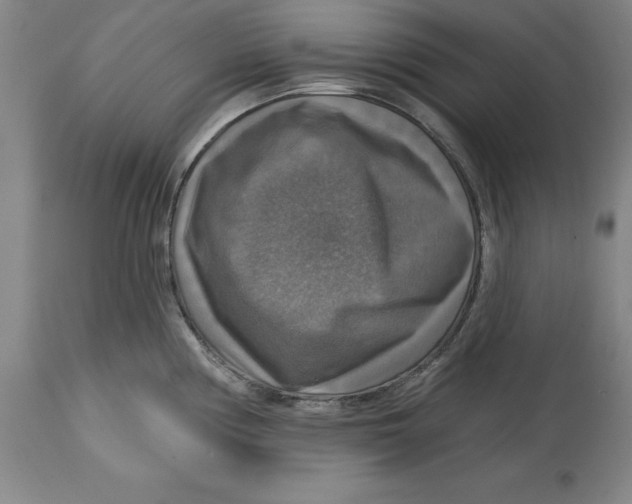 X0000114611194200911171028