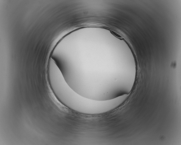 X0000114611195200911171028