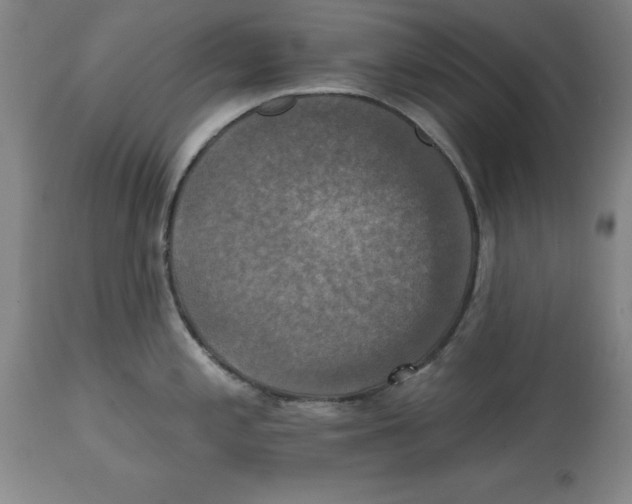 X0000114611197200911171028