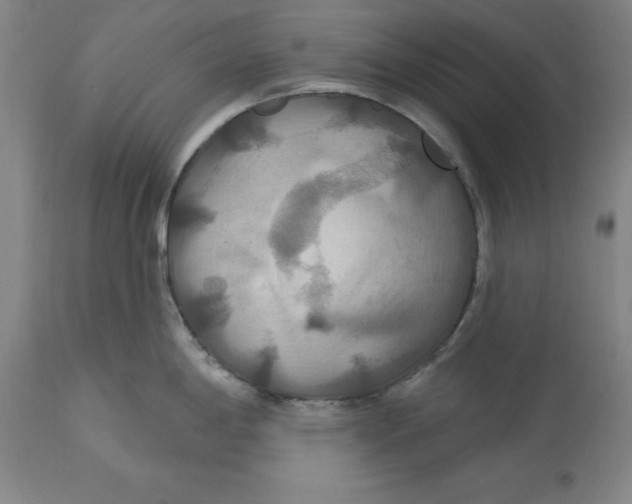 X0000114611198200911171028