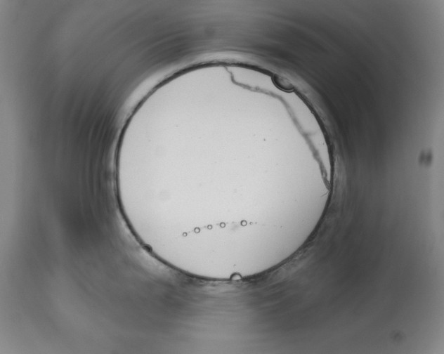 X0000114611199200911171028