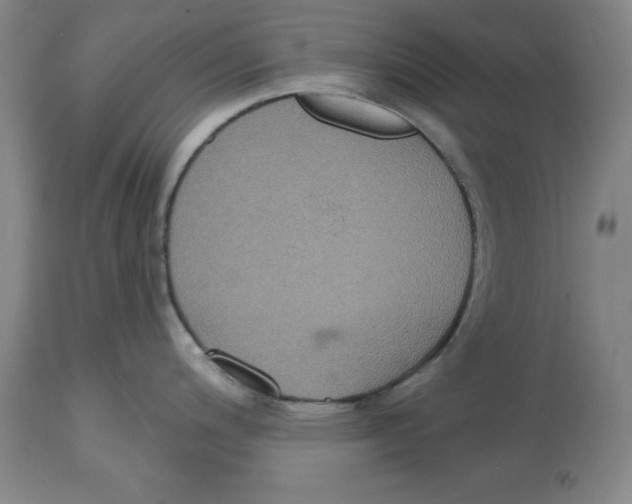 X0000114611200200911171028