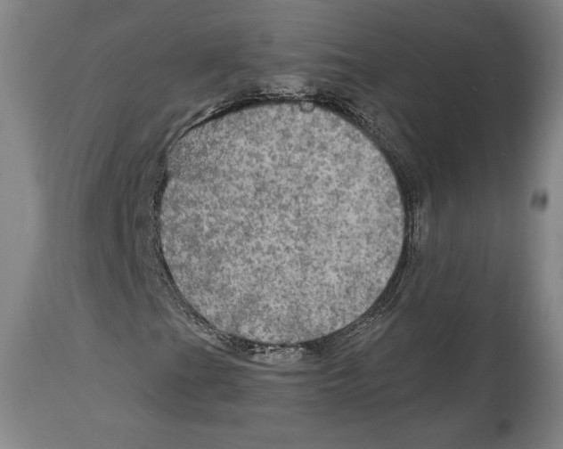 X0000114611201200911171027