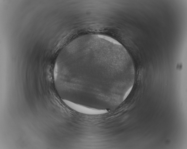 X0000114611202200911171027