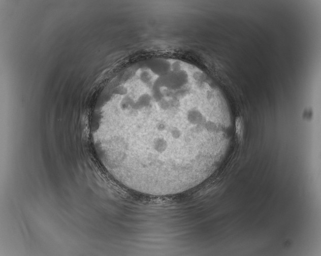 X0000114611203200911171027