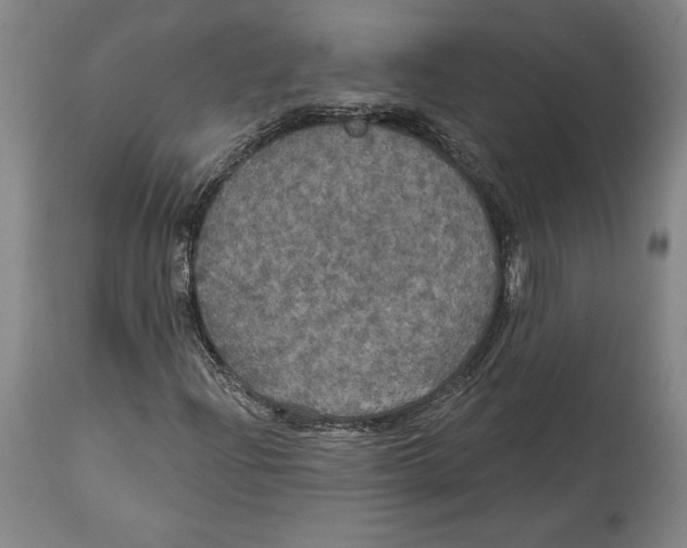 X0000114611204200911171027