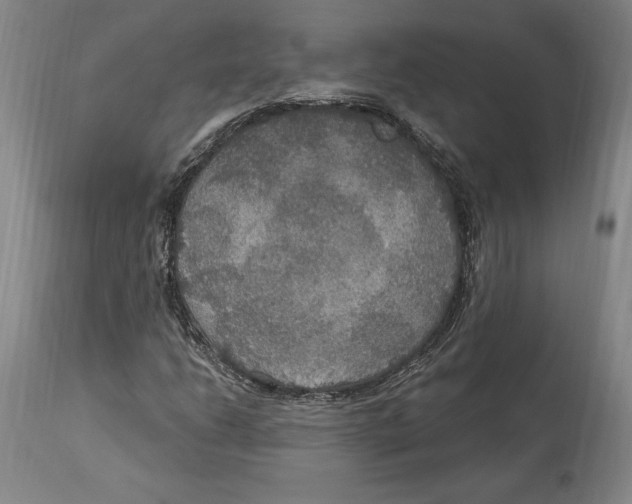 X0000114611206200911171027