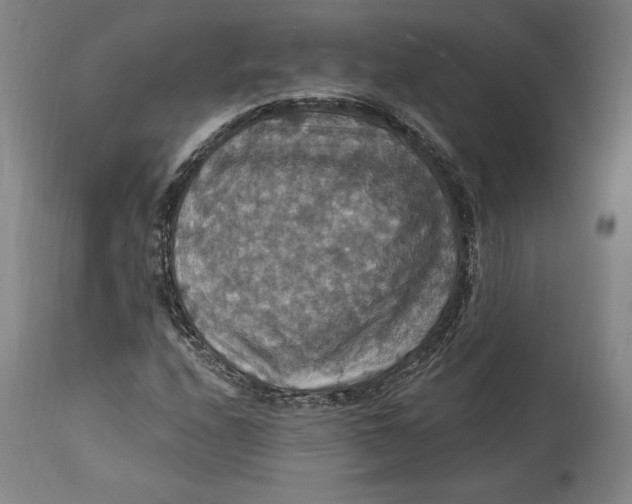 X0000114611208200911171027