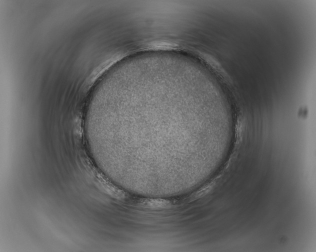 X0000114611209200911171027