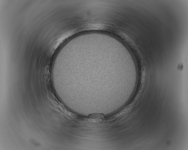 X0000114611210200911171027