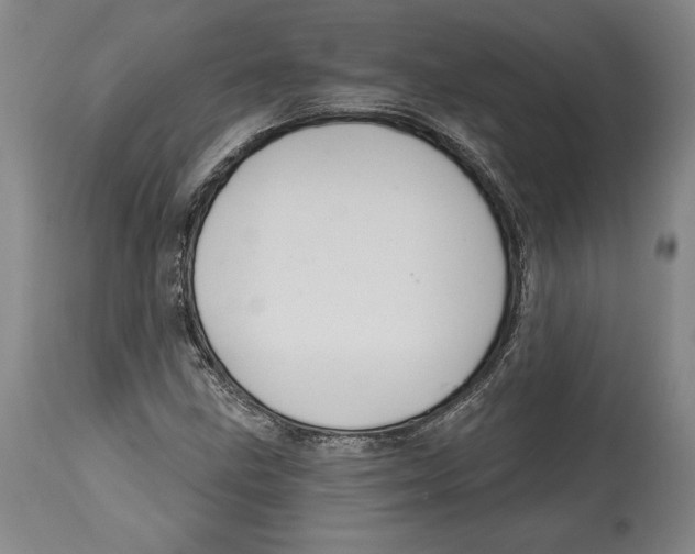 X0000114611211200911171027