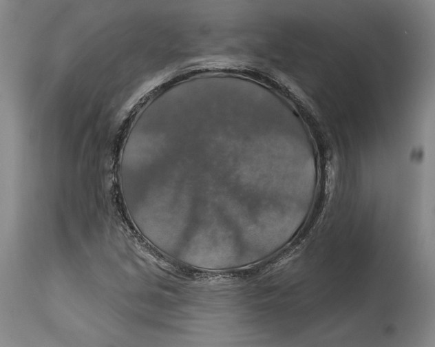 X0000114611213200911171027