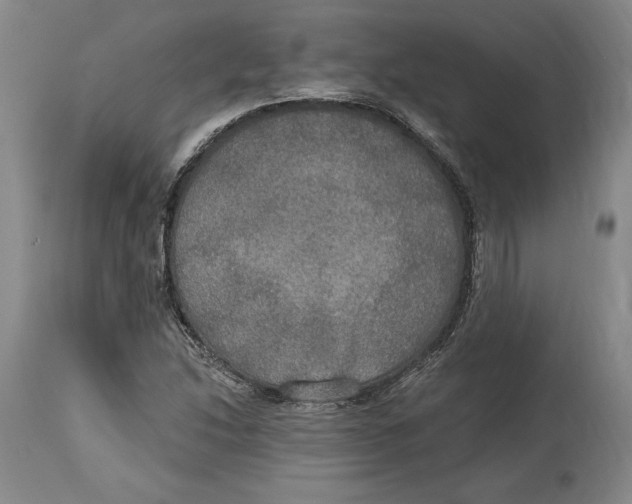 X0000114611214200911171027