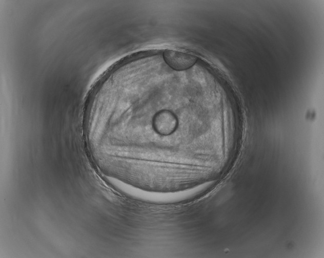 X0000114611216200911171027