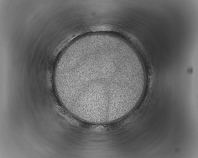 X0000114611217200911171027